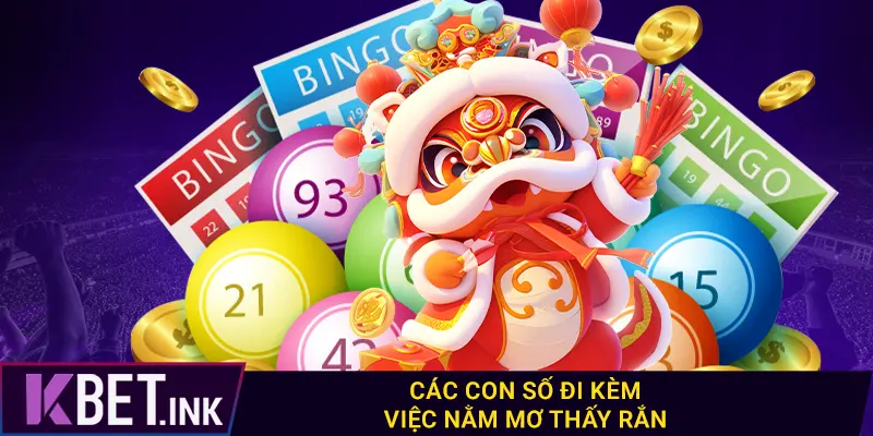 Các con số đi kèm việc nằm mơ thấy rắn Các con số đi kèm việc nằm mơ thấy rắn