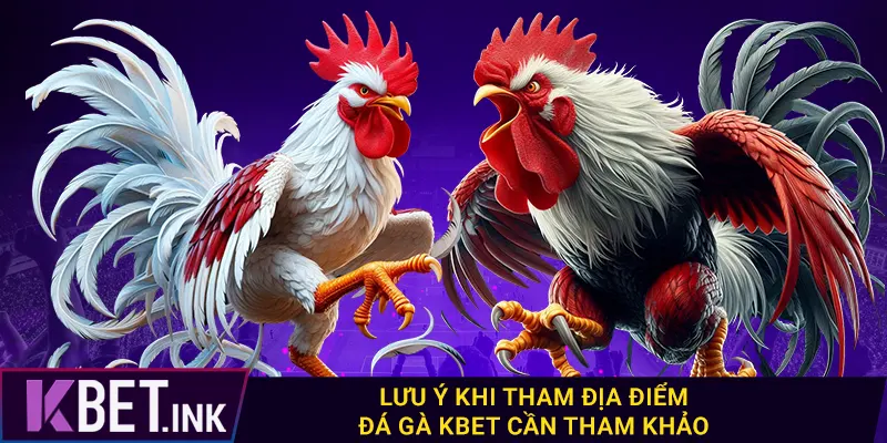 Lưu ý khi tham địa điểm đá gà kbet cần tham khảo Lưu ý khi tham địa điểm đá gà kbet cần tham khảo